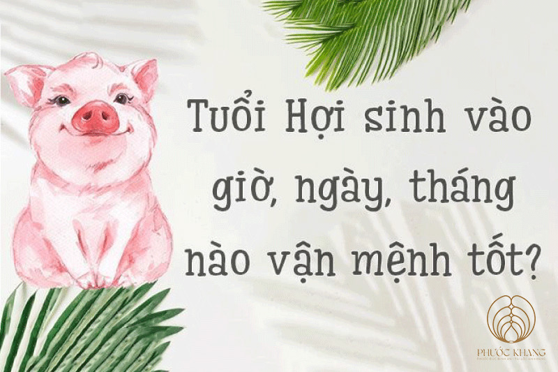 Vận số người tuổi Hợi