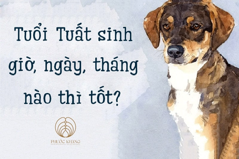 Vận số người tuổi Tuất