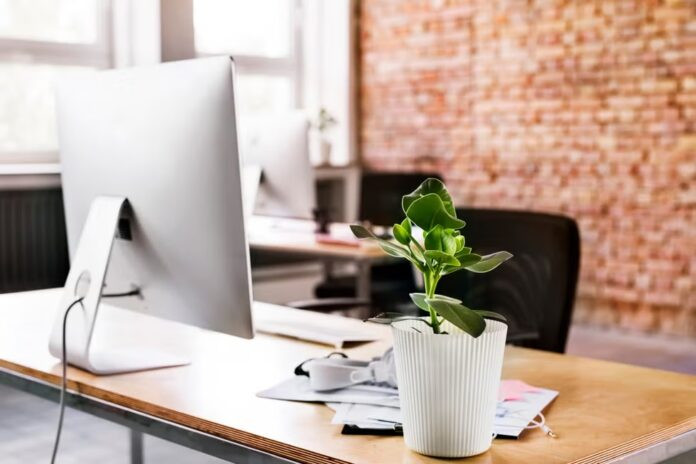 Phong thủy bàn làm việc cho tuổi Ngọ