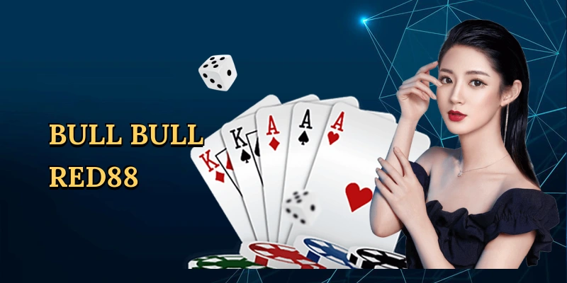 Bull bull RED88
