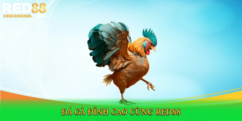 Đá Gà Red88 – Đỉnh Cao Cá Cược Trực Tuyến Kịch Tính