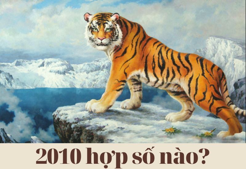 2010 Hợp Số Nào May Mắn? Cách Lựa Chọn Số Đẹp Theo Phong Thủy