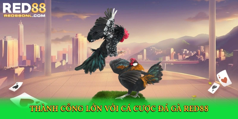 Đá Gà Red88 – Đỉnh Cao Cá Cược Trực Tuyến Kịch Tính