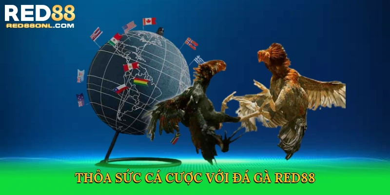 Đá Gà Red88 – Đỉnh Cao Cá Cược Trực Tuyến Kịch Tính