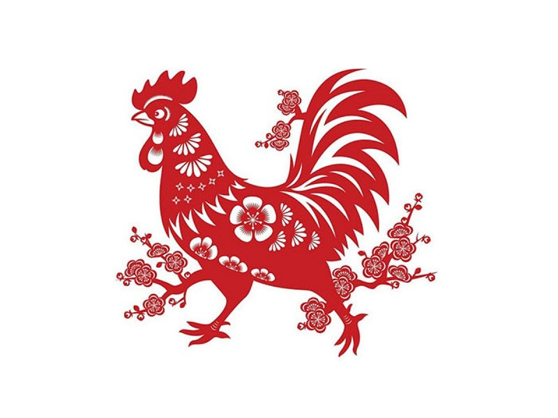Tuổi Tân Dậu 1981 Có Nên Xây Nhà Năm 2025 Hay Không?