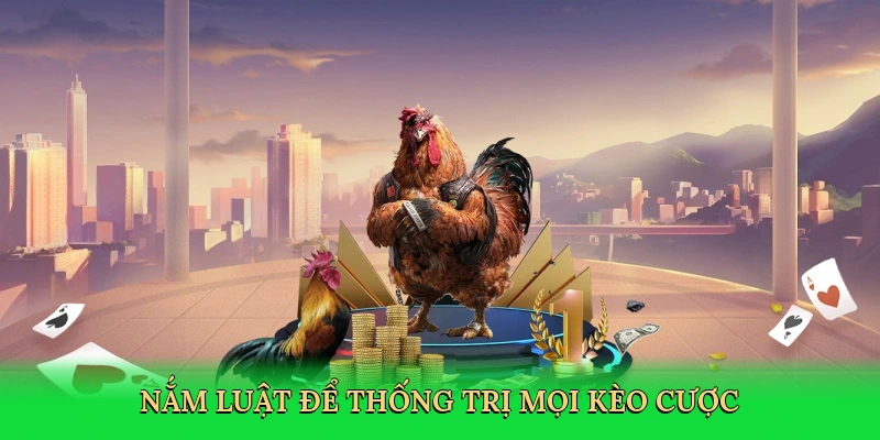 Nắm luật để thống trị mọi kèo cược