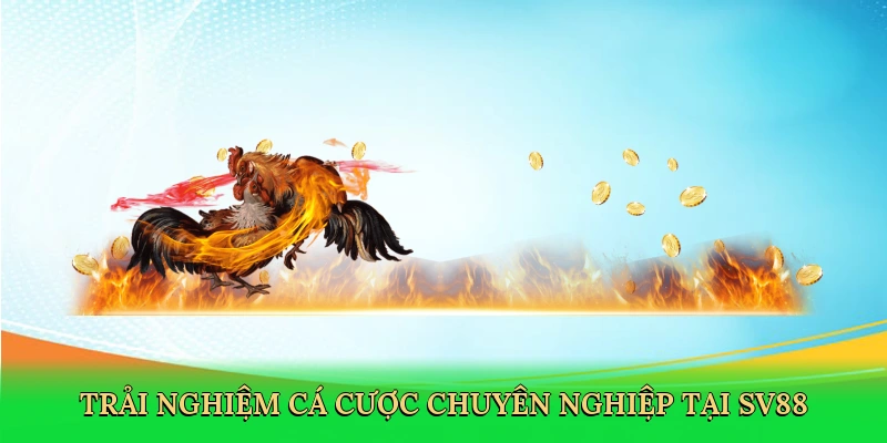 Trải nghiệm cá cược chuyên nghiệp tại SV88