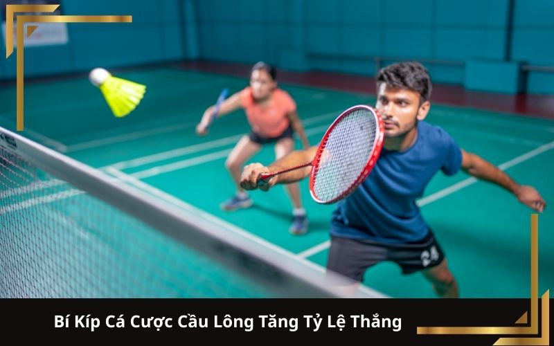 Bí Kíp Cá Cược Cầu Lông Tăng Tỷ Lệ Thắng