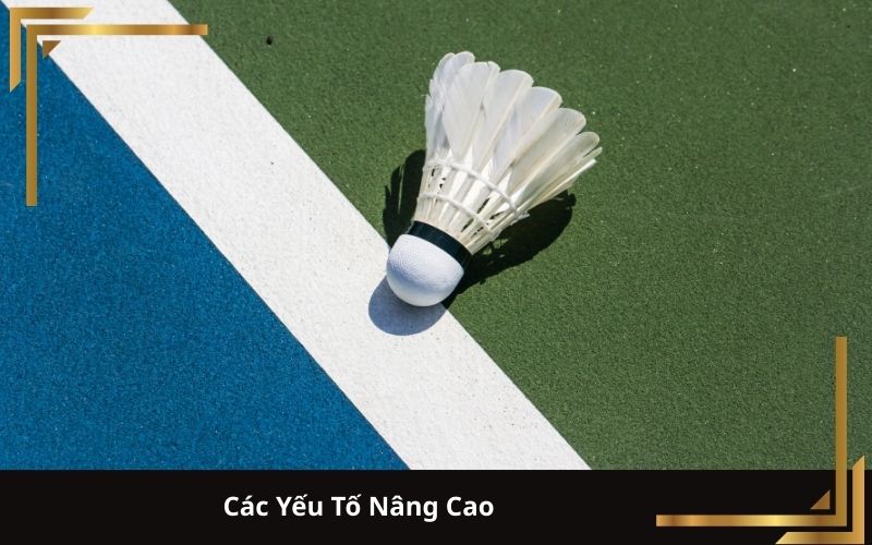 Các Yếu Tố Nâng Cao