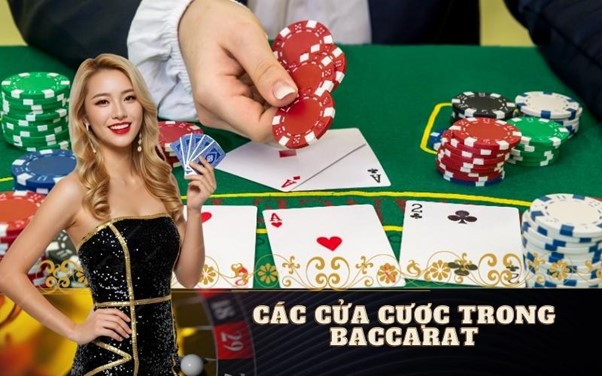Các cửa cược trong Baccarat