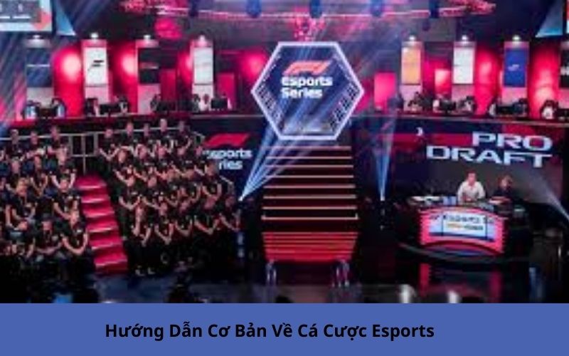 Hướng Dẫn Cơ Bản Về Cá Cược Esports