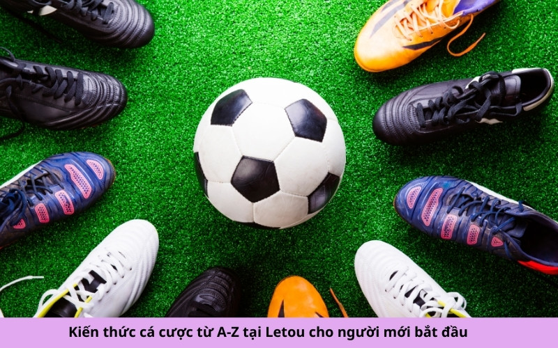 Kiến thức cá cược từ A-Z tại Letou cho người mới bắt đầu
