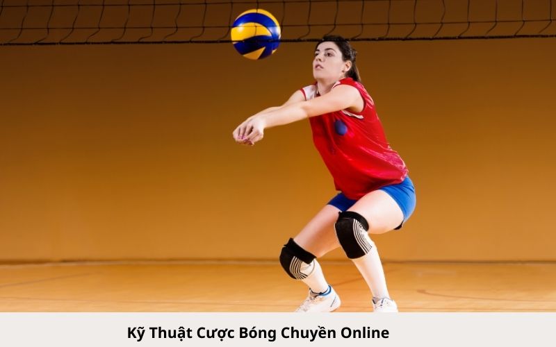 Kỹ Thuật Cược Bóng Chuyền Online